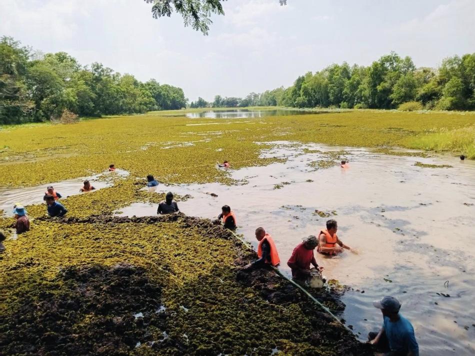 ขุดลอกผักตบชวา