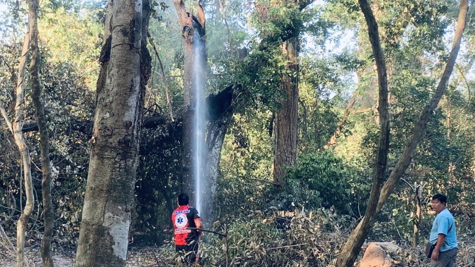 งานบริการเทศบาลตำบลนิเวศน์ 